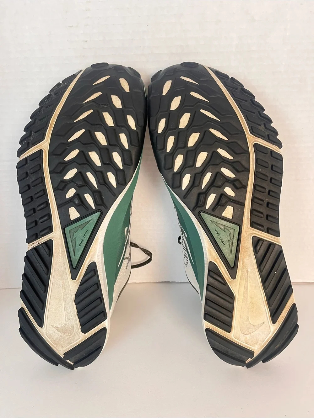 Nike Trail Shoes Men 10.5 Pegasus Trail 4 Gore-Tex Running Waterproof Bone Green